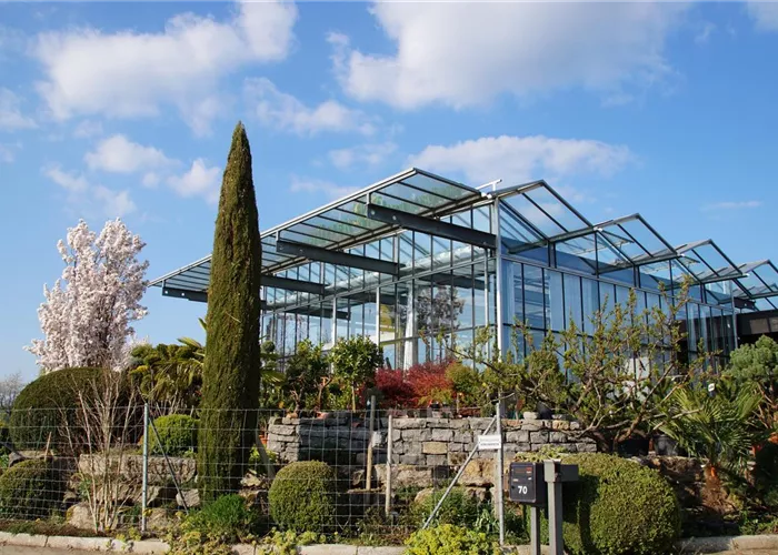 Gartenbaumschule Müller Pflanzen mit Tradition