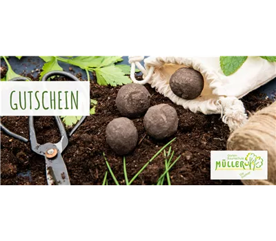 Individueller Gutschein Individueller Gutschein