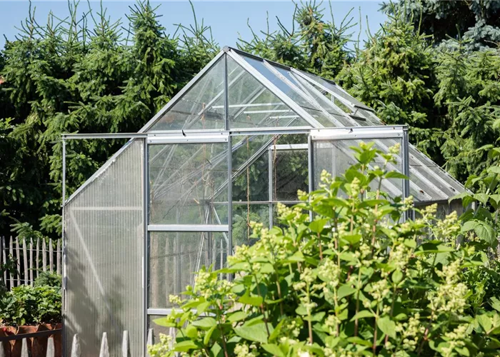 Ein Gewächshaus anlegen