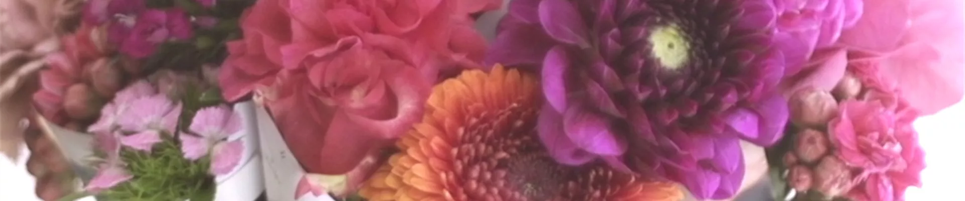 bunter strauß bunter strauß