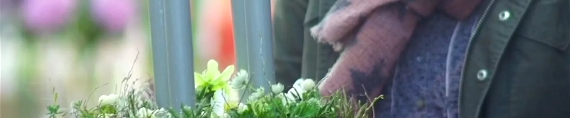 Adventskranz_thumbnail