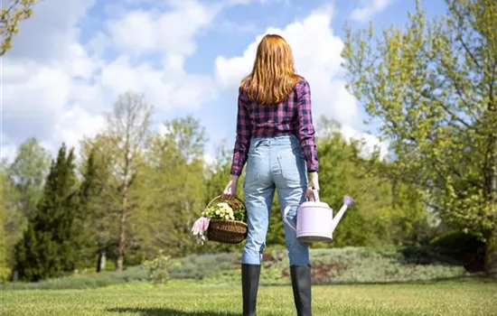 Alles auf Anfang – ein Blumenbeet anlegen Alles auf Anfang – ein Blumenbeet anlegen