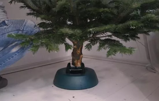Den Weihnachtsbaum richtig aufstellen
