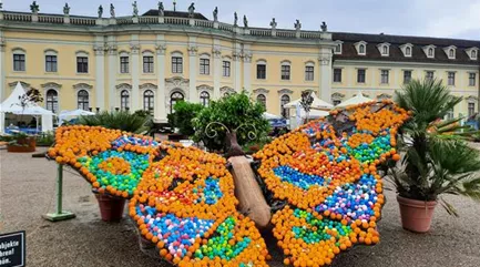 20250504_104318.jpg