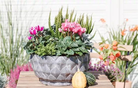 Aus alt mach neu: Blumenkübel nicht wegwerfen! Aus alt mach neu: Blumenkübel nicht wegwerfen!